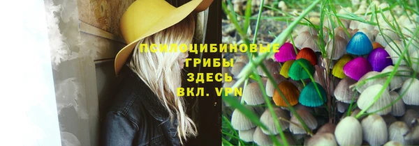 тгк Киреевск
