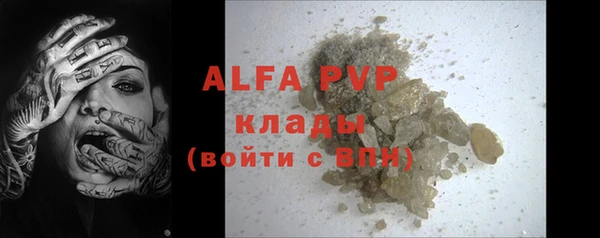 ПСИЛОЦИБИНОВЫЕ ГРИБЫ Артём