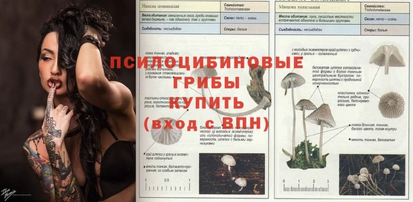 spice Кинешма