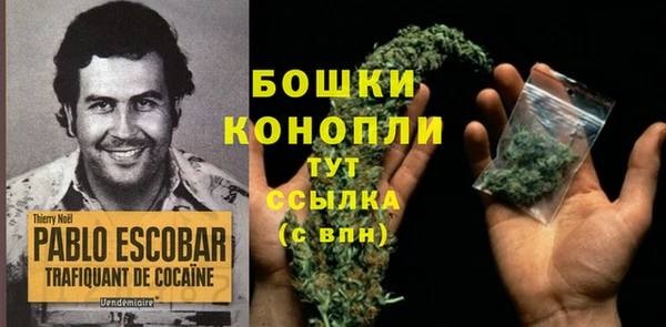 spice Кинешма