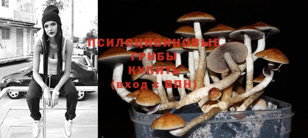тгк Киреевск