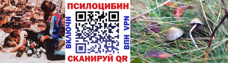Купить закладки  Палласовка  Галлюциногенные грибы Psilocybe 
